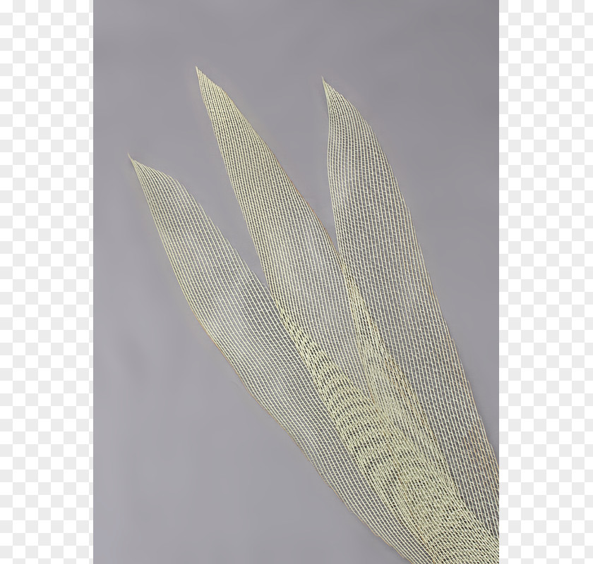 Feather Material PNG