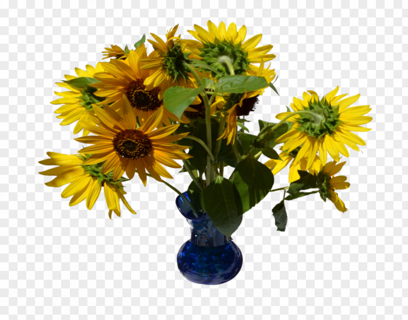 Vase Common Sunflower Floral Design Cut Flowers PNG