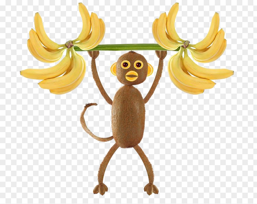 Weightlifting Monkey Fruit Kiwifruit Stock Photography Healthy Diet PNG