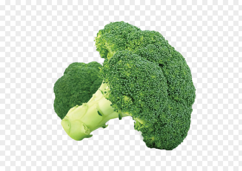 Broccoli Organic Food Capitata Group PNG