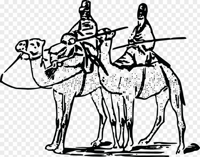 Cartoon Camel Dromedary Bactrian Clip Art PNG