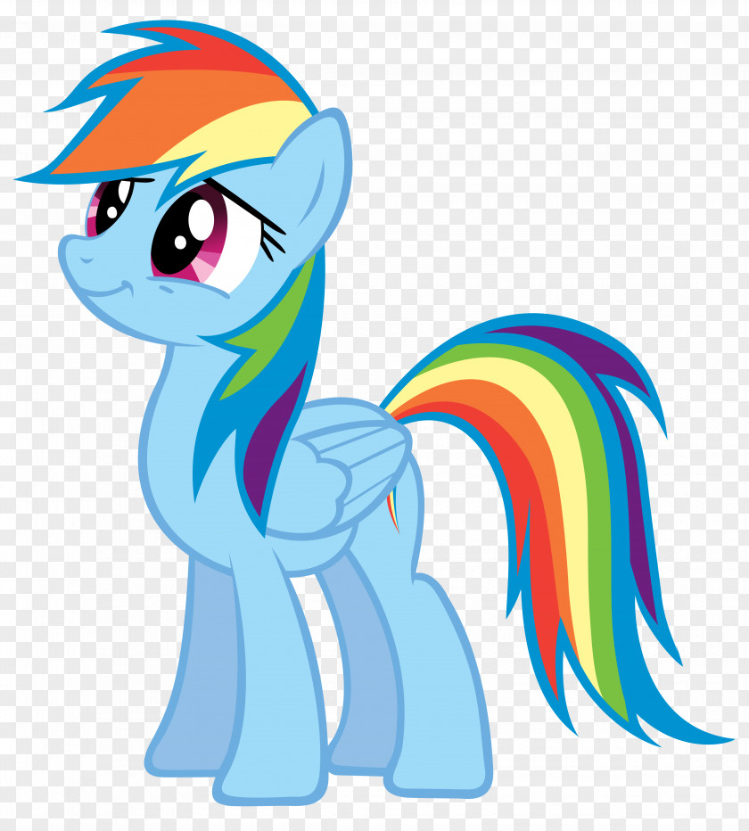 Dash Rainbow My Little Pony Drawing PNG