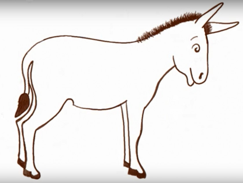 Donkey Drawing Cartoon How-to PNG