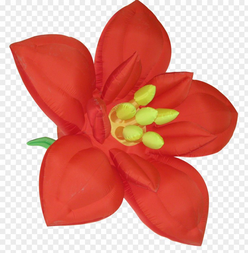 Flower Red Clip Art PNG