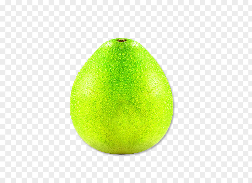 Grapefruit Persian Lime Citron Key Sweet Lemon PNG