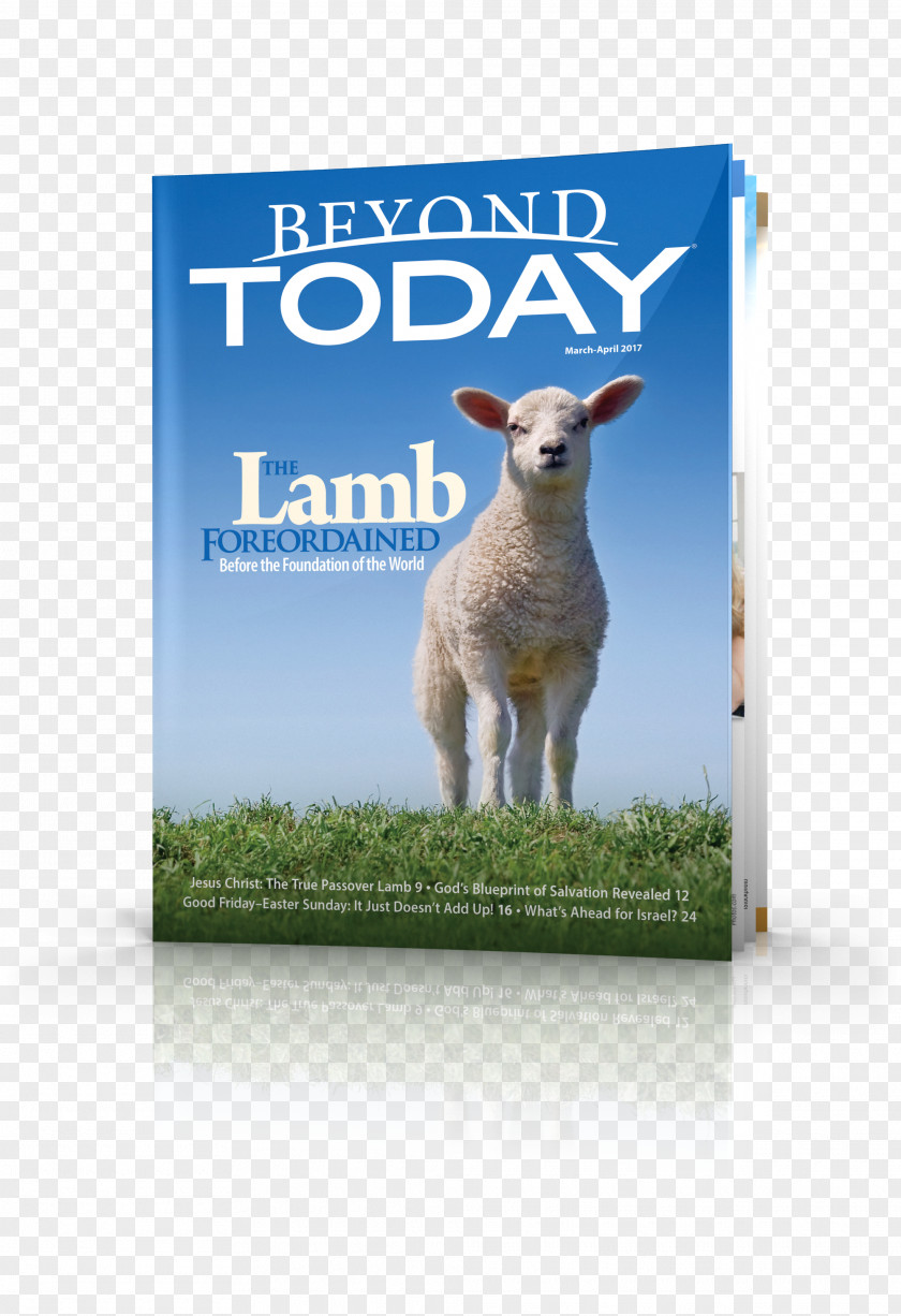 Lamb Bible United Church Of God Beyond Today Prophecy PNG