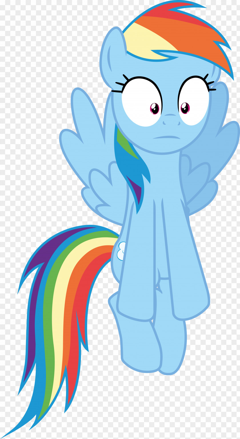 Rainbow Dash Shocked Fluttershy Rarity Pony PNG