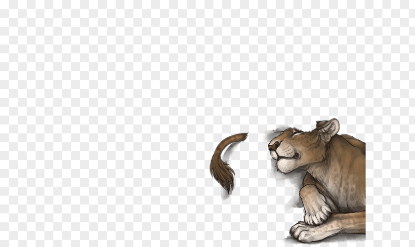 Female Lion Whiskers Cougar Cat Roar PNG