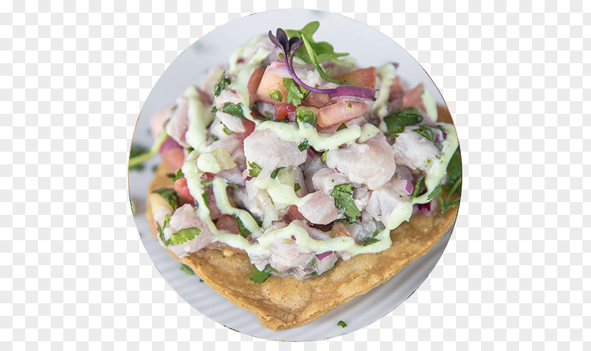 Fish Ceviche Tostada Taco Mexican Cuisine Gyro PNG