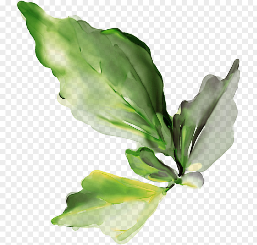 Leaf Clip Art PNG