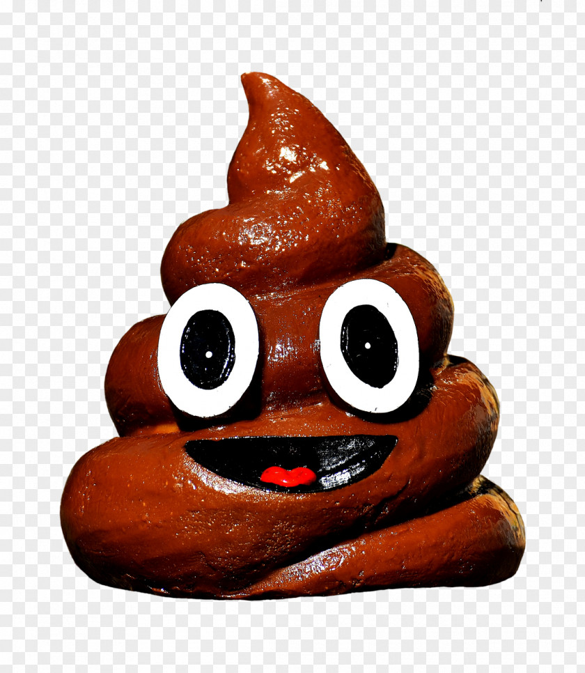 Poop Thank You YouTube Feces Fecal Microbiota Transplant Sway D PNG