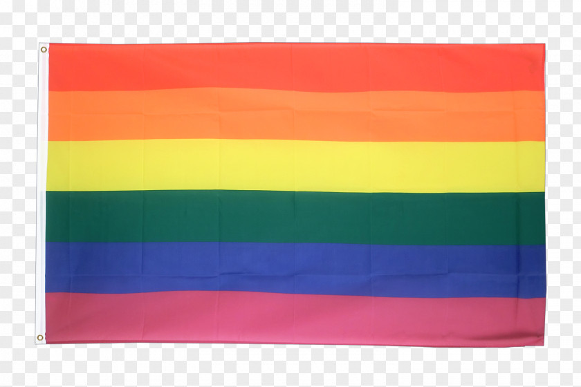 Rainbow Flag Fahne Leather Pride PNG