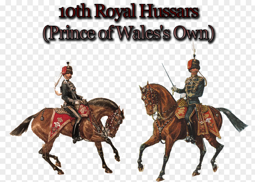 10th Royal Hussars Polish Mustang Wales PNG