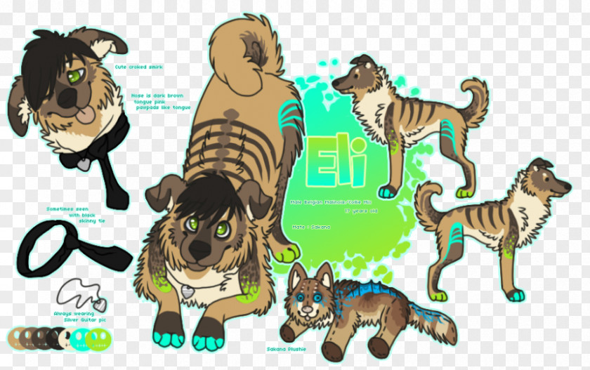 Cat Tiger Australian Shepherd Lion Gray Wolf PNG