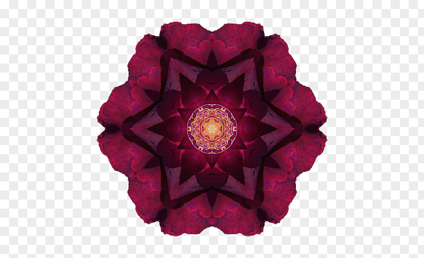 Flowers Of Hell Flower Mandala Rhododendron Ponticum Roseum PNG