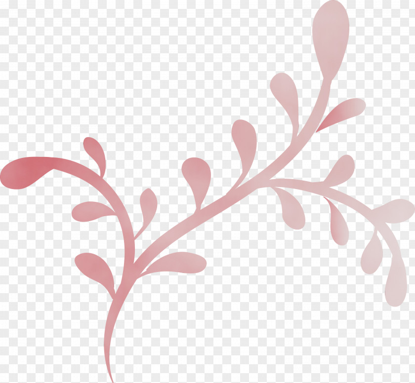 Leaf Plant Stem Twig Tree Petal PNG