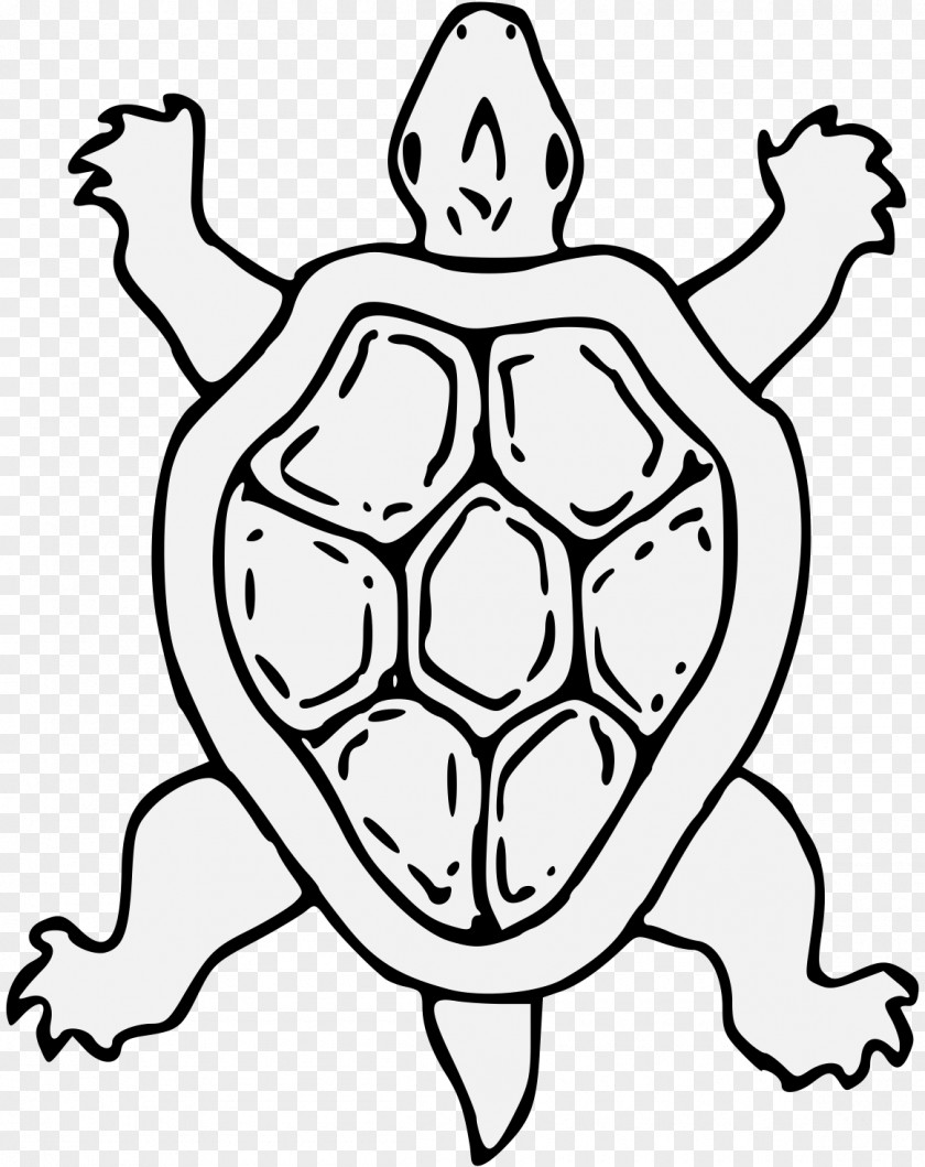 Turtle Heraldry Tortoise Art Reptile PNG