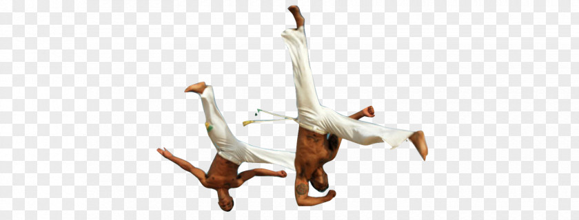 Capoeira Map Performing Arts Arabic Language Clothing PNG