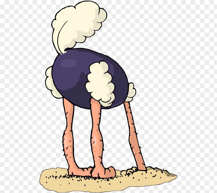 Common Ostrich Bird Clip Art PNG