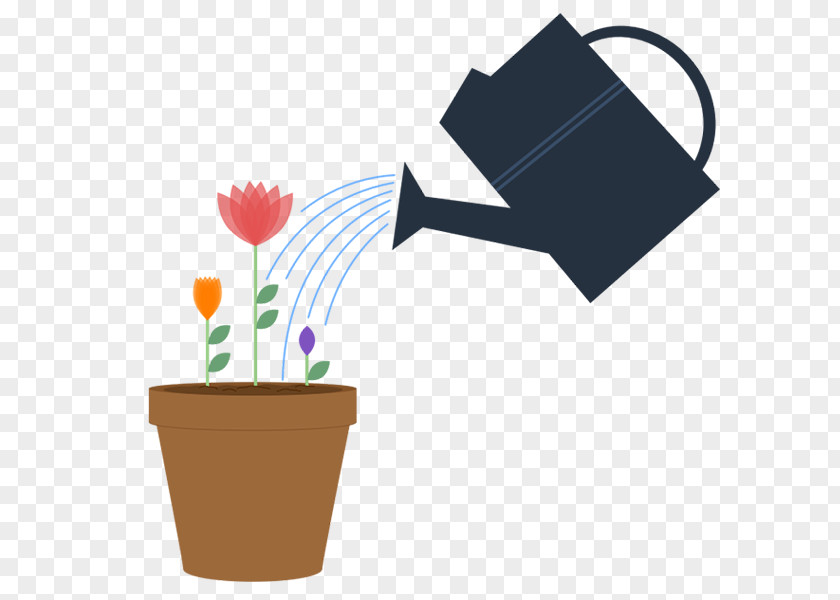 Fresh Bloom Flowerpot PNG