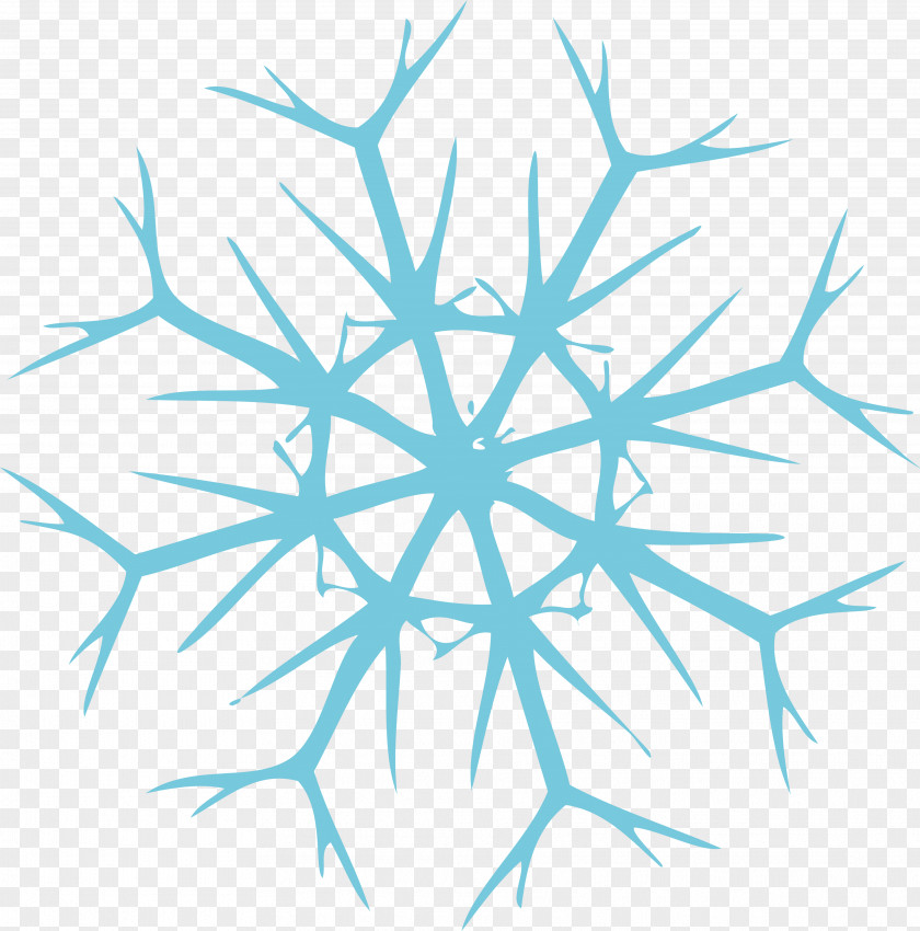 Snowflakes Krishna Sri Om Bhakti Mantra PNG