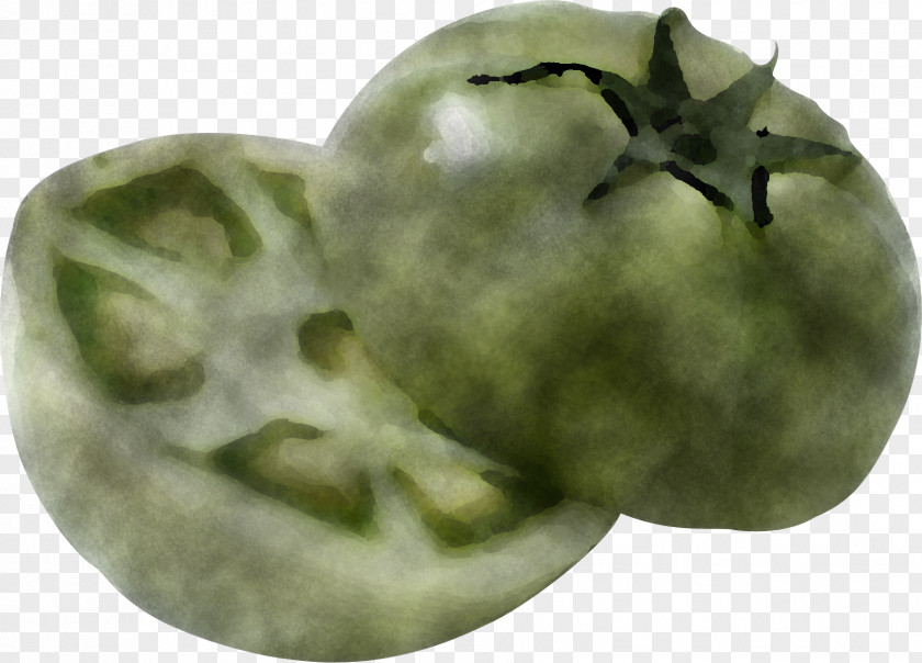 Tomato Nightshade Family PNG
