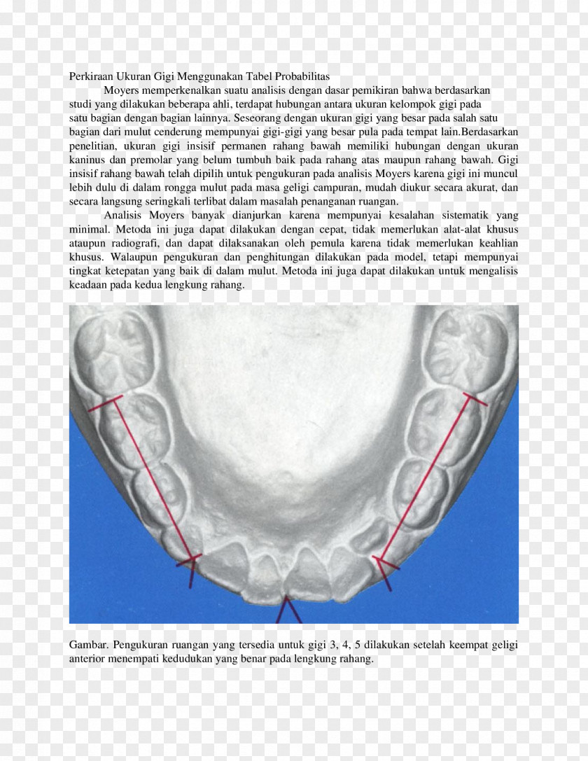 Jaw Orthodontics Probability Medicine Dentistry PNG