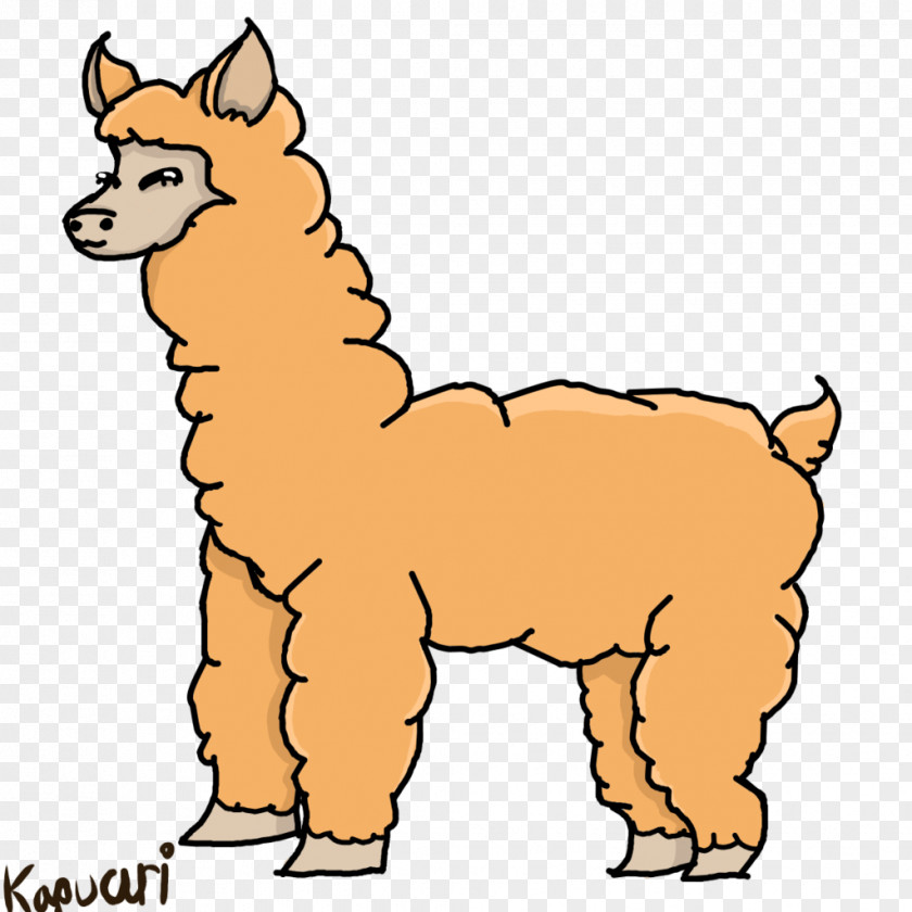 Llama Dog Breed Drawing Line Art Clip PNG