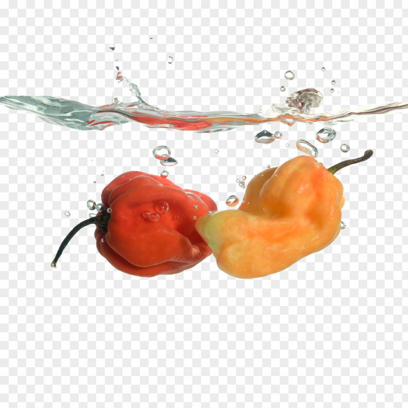 Pepper Physical Map Chili Bell Drop PNG