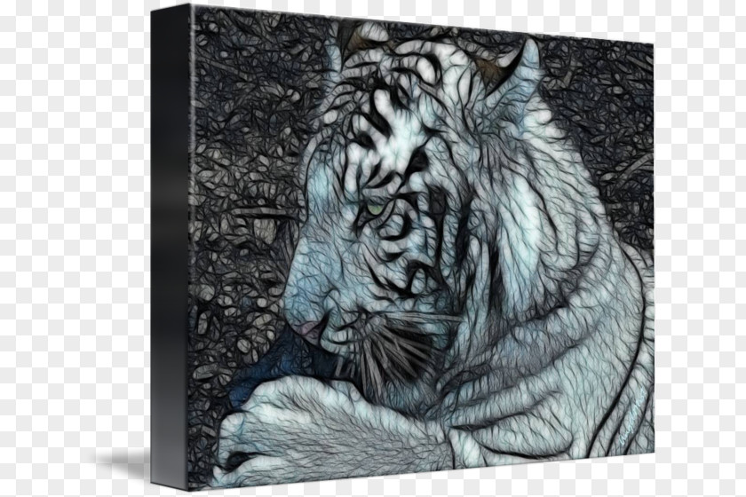 Tiger Cat Whiskers Gallery Wrap Drawing PNG