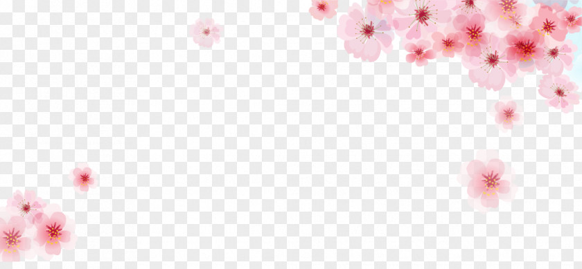 Vector Pink Cherry Blossoms Frame Material Blossom Flower PNG