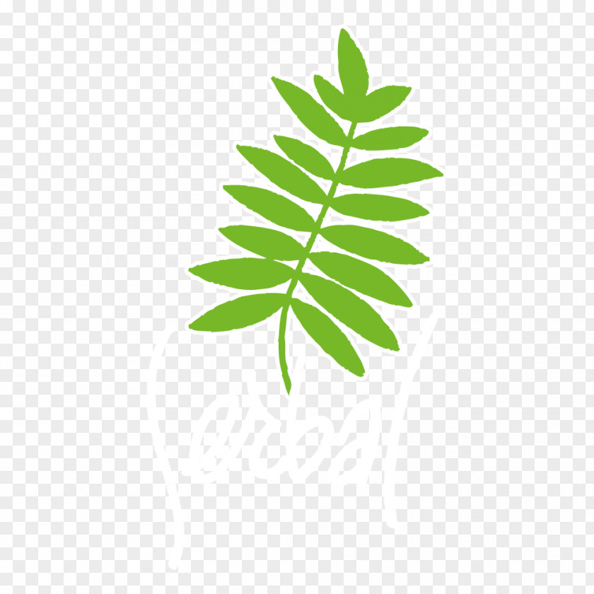 Design Natural Landscape Nature Logo PNG