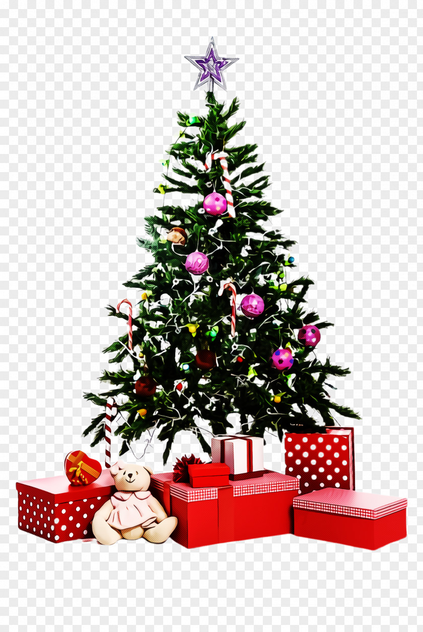 Fir Spruce Christmas Tree PNG