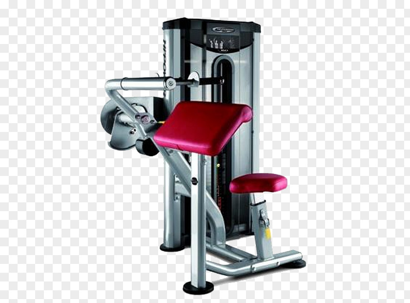 Tricep Triceps Brachii Muscle Bench Pulldown Exercise Biceps Weight Training PNG