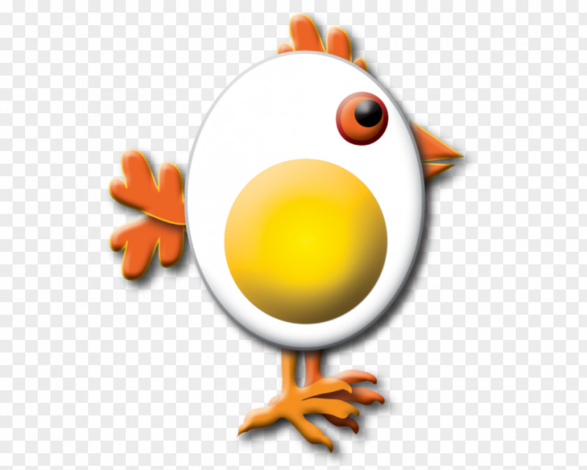 Yolk Chicken Bird Galliformes Beak Clip Art PNG