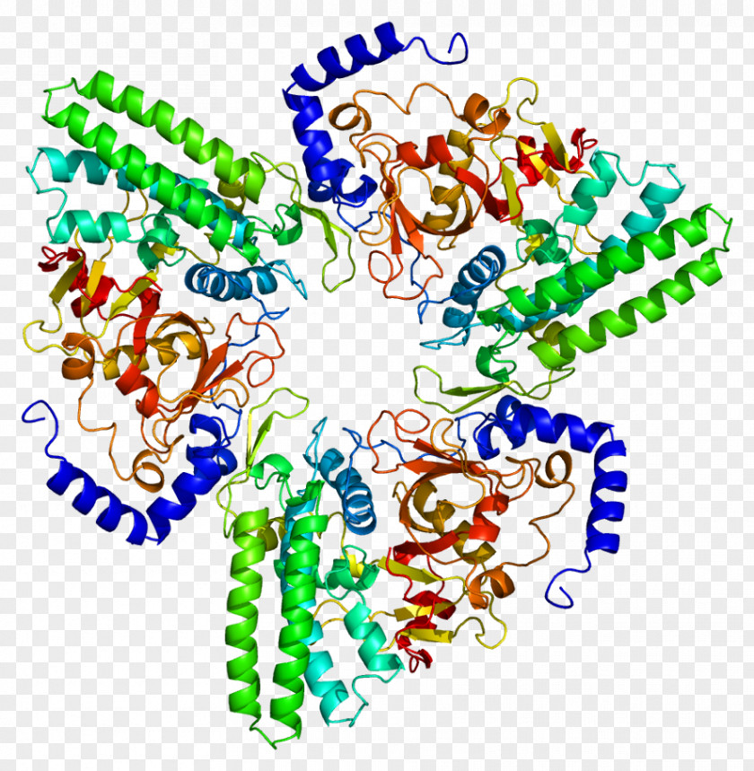 Bleomycin Hydrolase Enzyme Protein Protease PNG