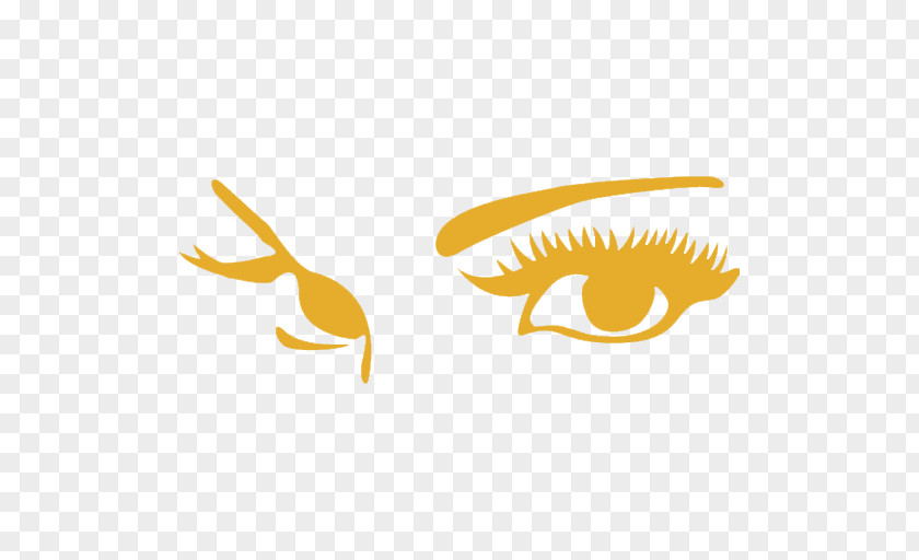 Eyelash Extensions Beauty Parlour Logo Artificial Hair Integrations PNG