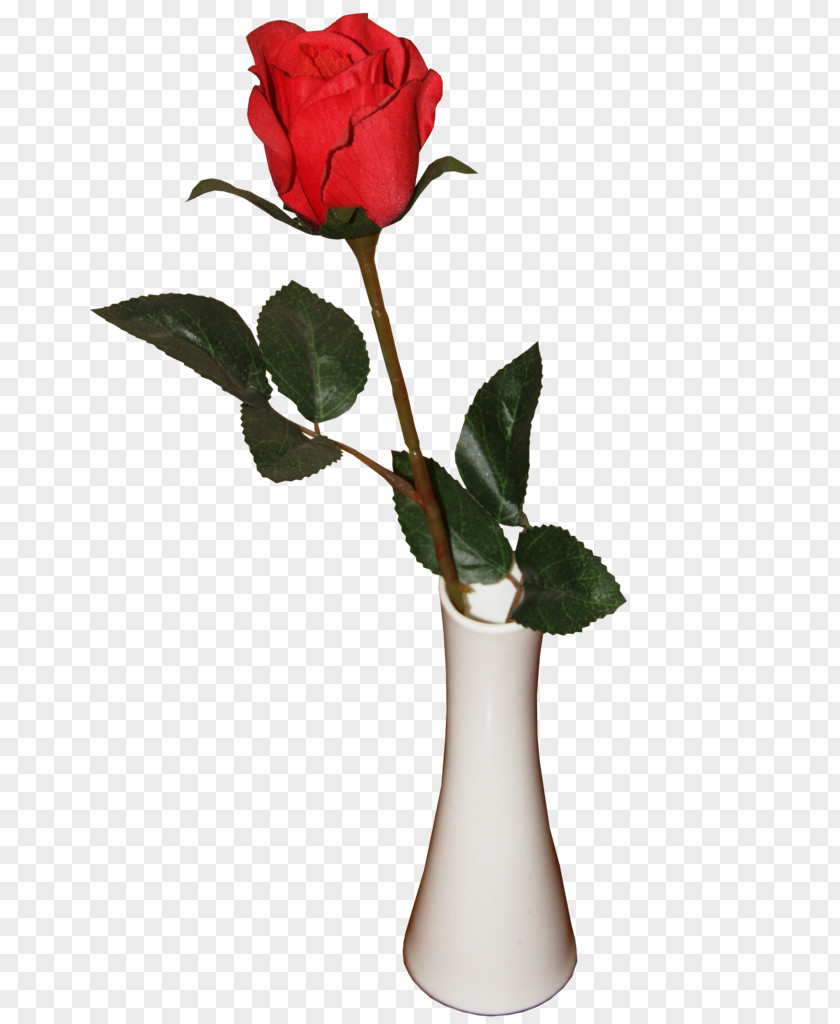 Flower Vase Garden Roses Beach Rose Image Pink PNG