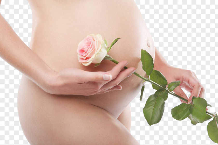Pregnant Woman,belly,pregnancy,Mother,Pregnant Mother Pregnancy Woman Gestation Child PNG