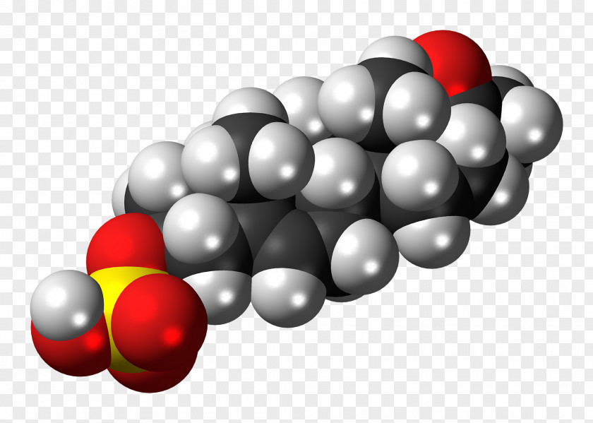 Cortisol Immune System Stress Transforming Growth Factor Hormone PNG