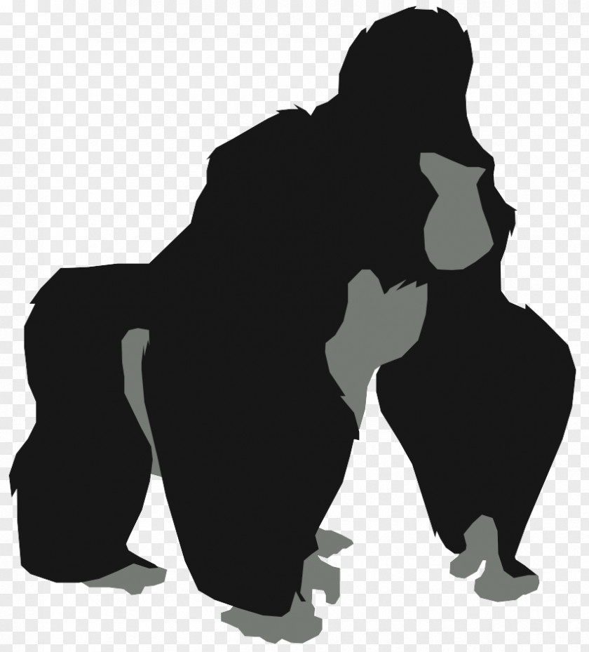 Gorilla Kerchak King Kong Primate Bwindi Impenetrable National Park PNG