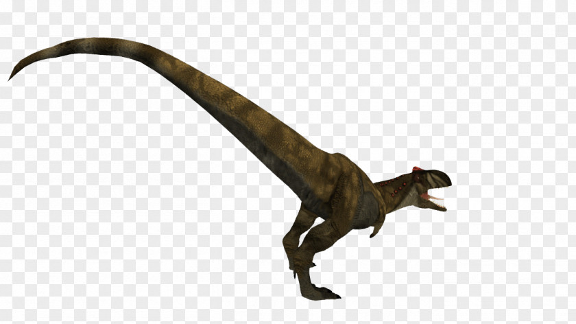 Lizard Tylosaurus Rajasaurus Wiki Rugops Mosasaur PNG