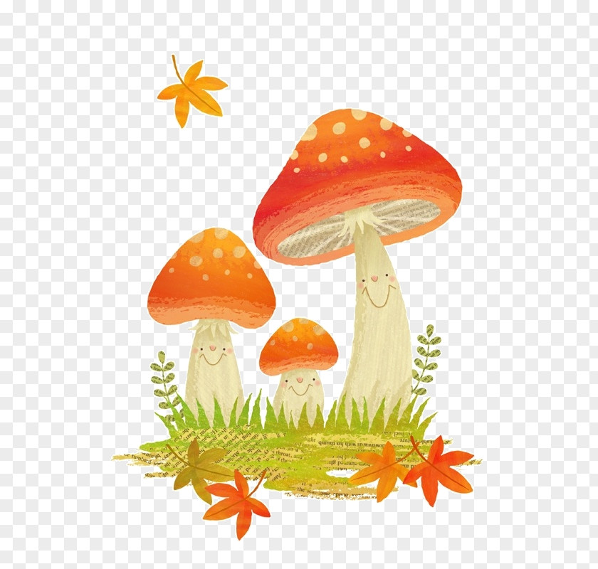Mushroom Watercolor Painting Transparent Animal Illustrations Clip Art PNG