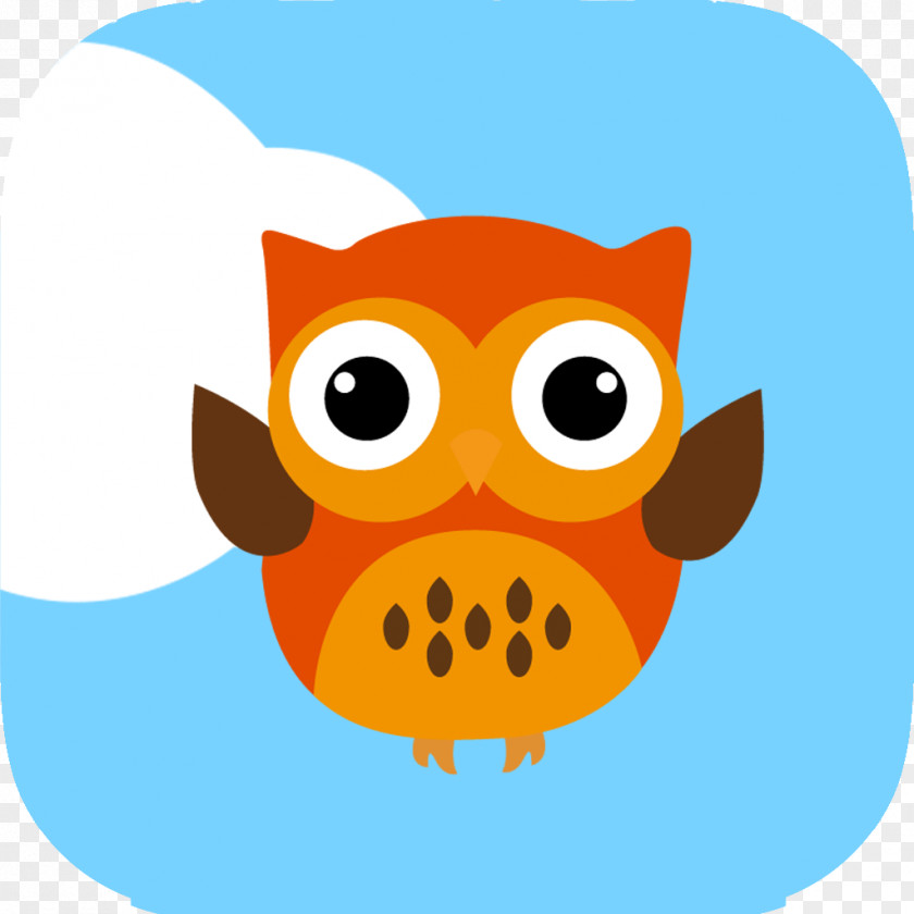 Owl Bird Beak Clip Art PNG