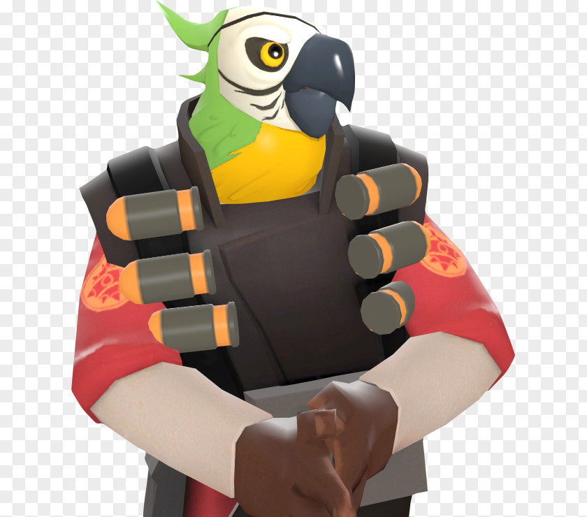 Parrot Macaw Beak Toucan Team Fortress 2 PNG