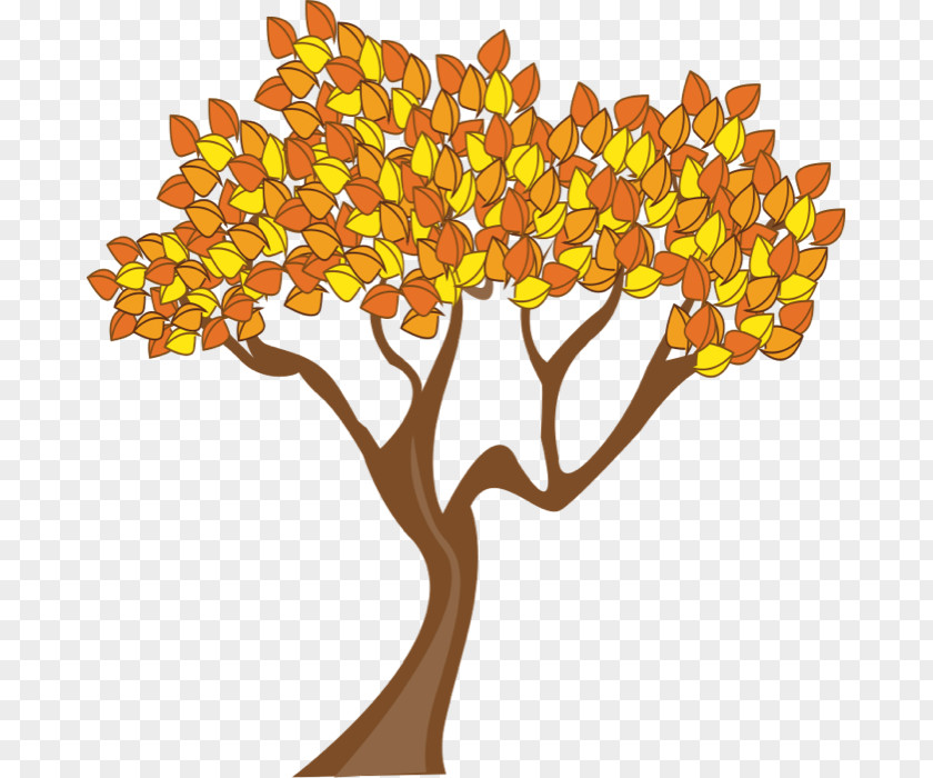 Pictures Of Autumn Season Tree Branch Clip Art PNG