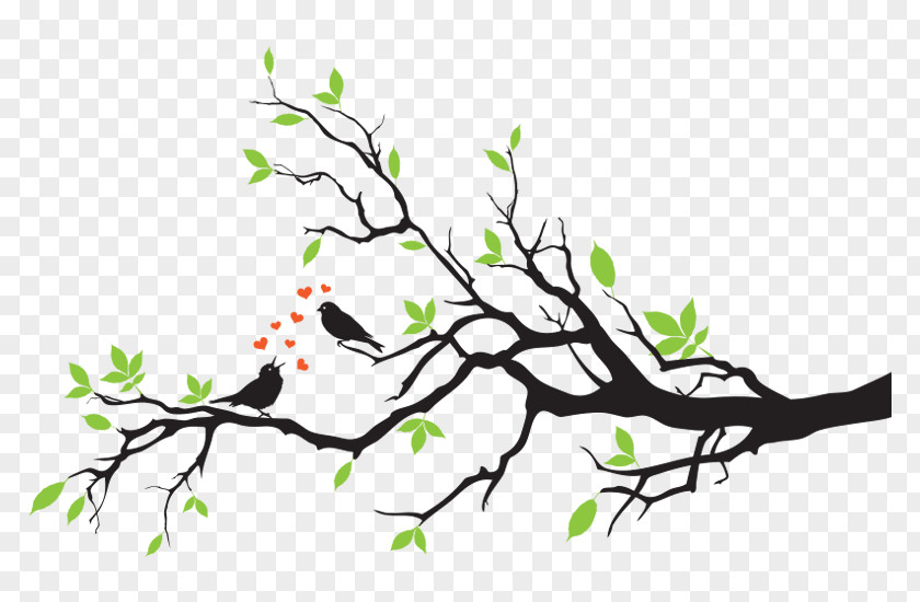 Vector Graphics Birdcage Branch Illustration PNG