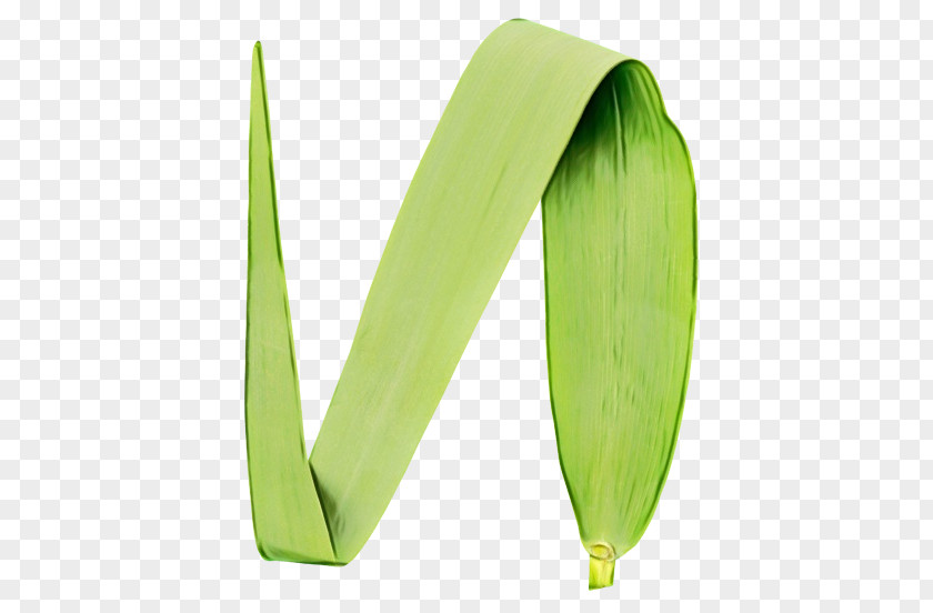 Banana Leaf PNG