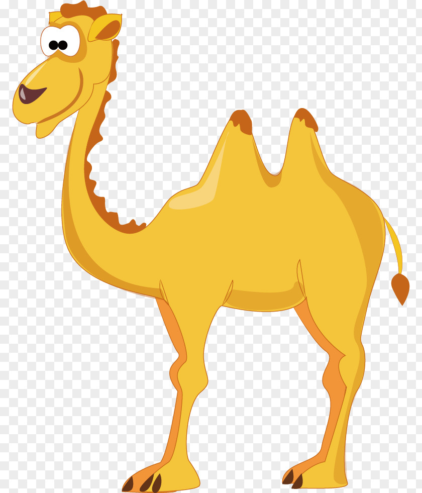 Camel Eid Al-Adha Al-Fitr Sticker PNG