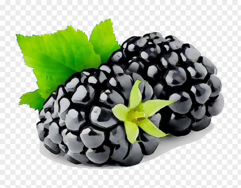 Cobbler Blackberry Clip Art Fruit PNG